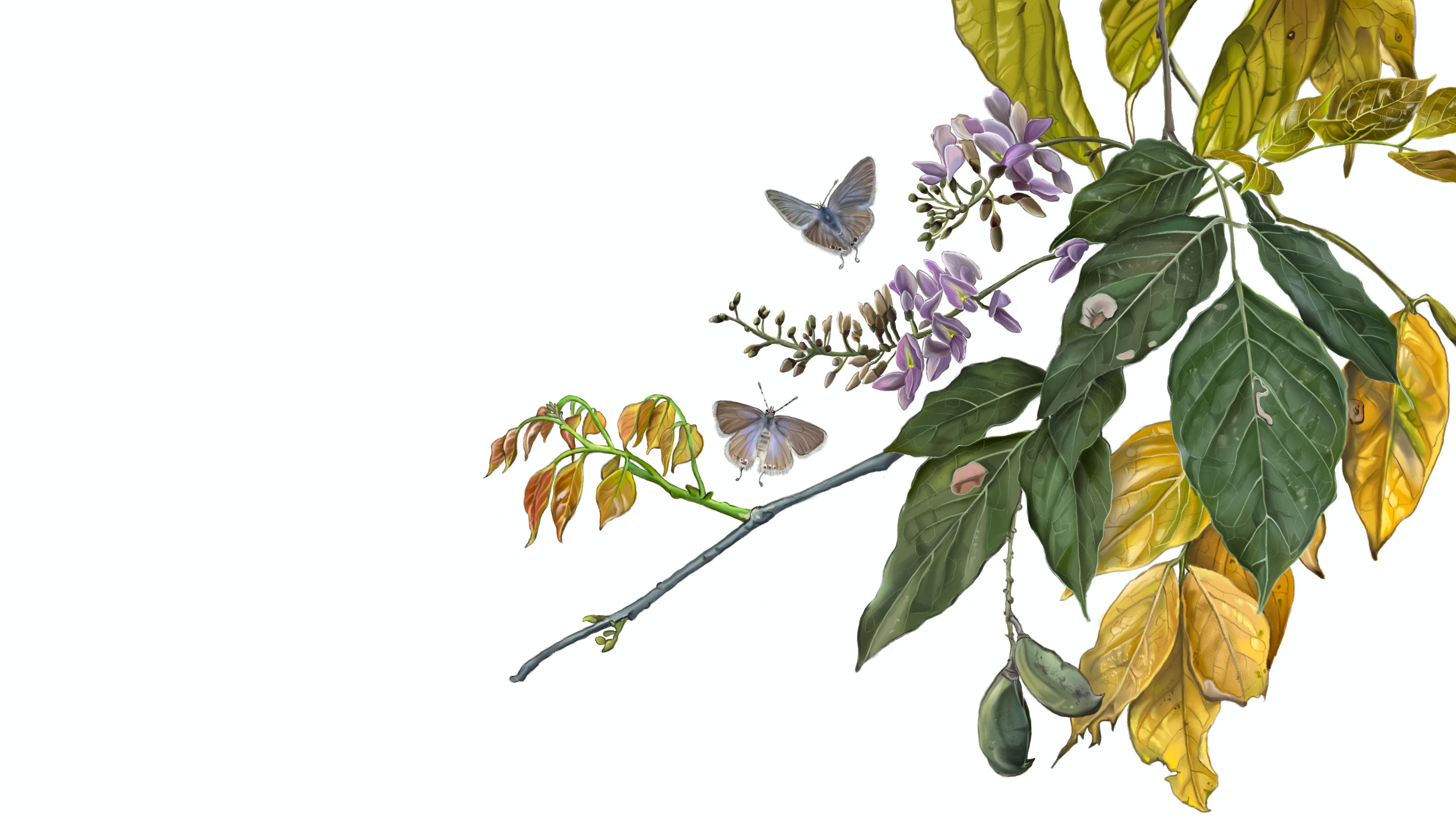 February 2025 header