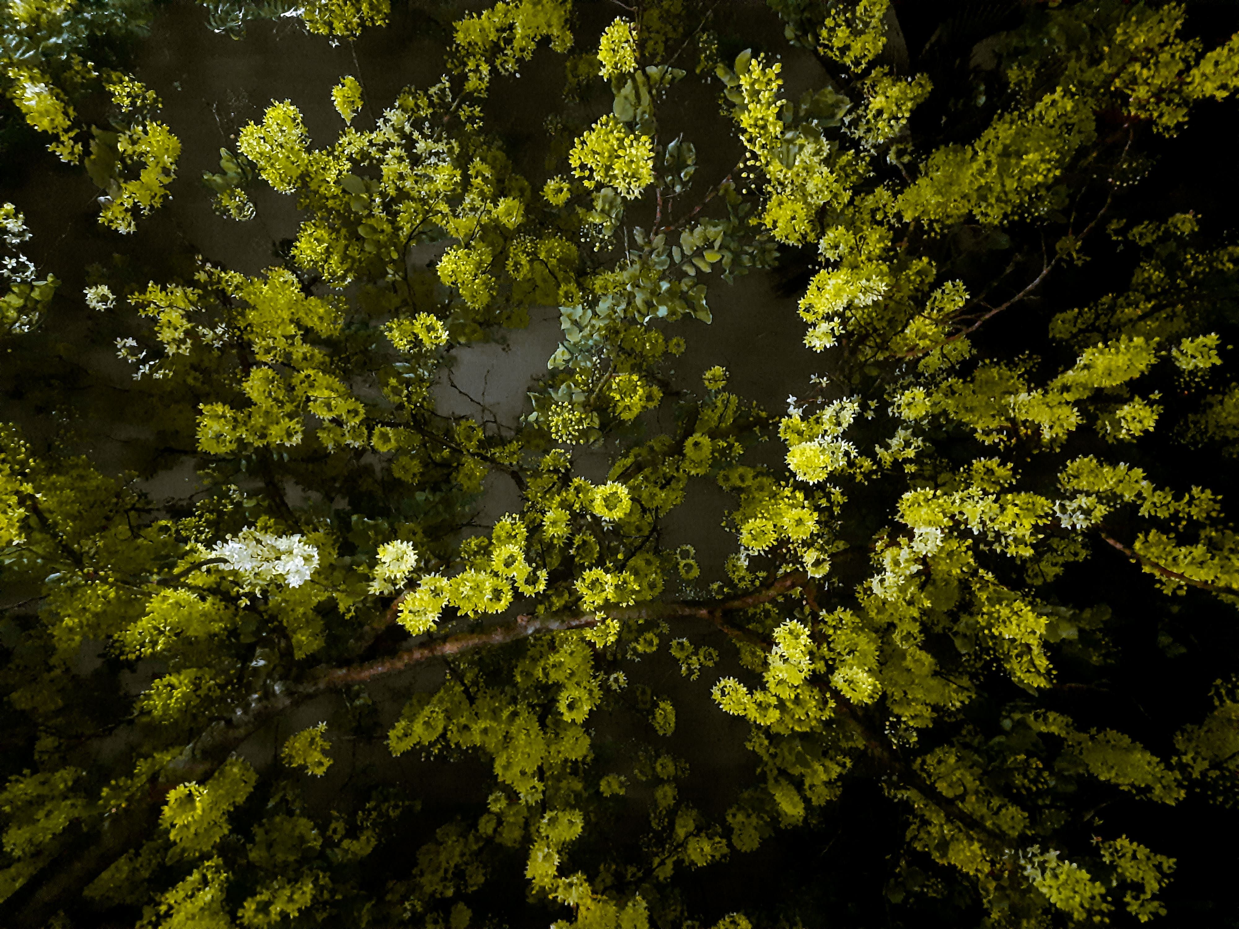 Community photo 2025-05