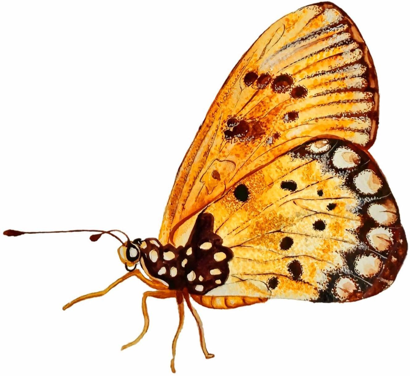 Community photo 2025-03